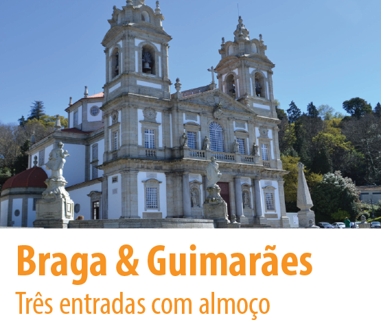 
visita excursão a braga bom jesus

visita excursão a Guimarães castelo de guimarães