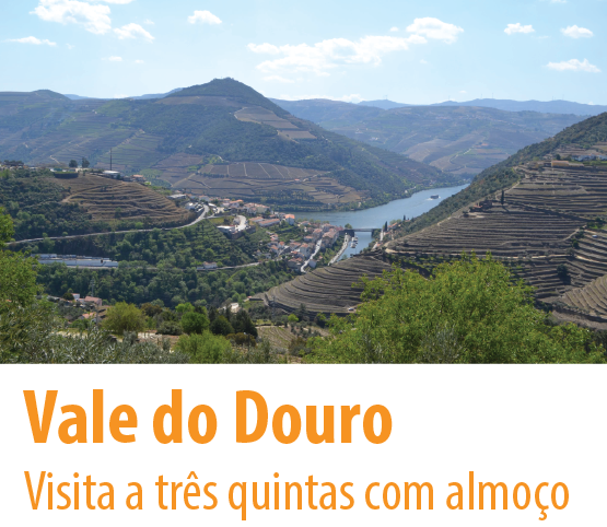 vale do douro visita a vinicolas