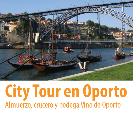 tour de la ciudad rio douro puerto rebelo boat