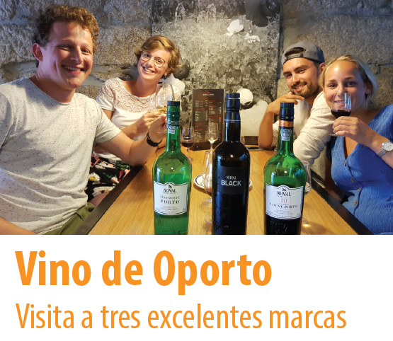 
visita de las bodegas de vino de Oporto
