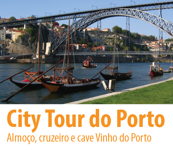tour excursão pela cidade do Porto