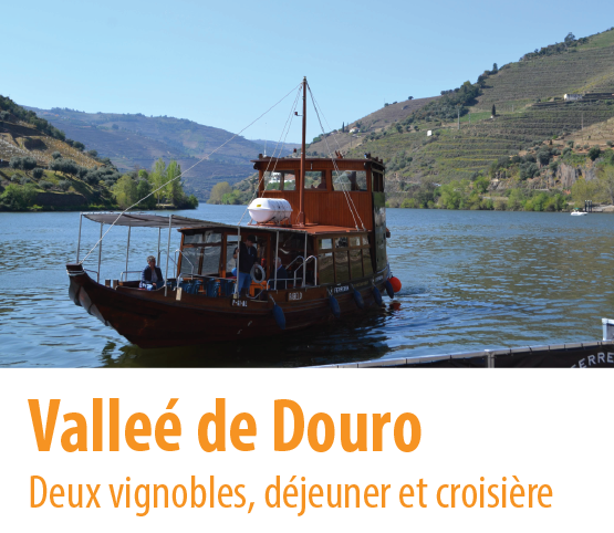 visite de la vallée du douro à vinicolas et croisière sur le fleuve douro