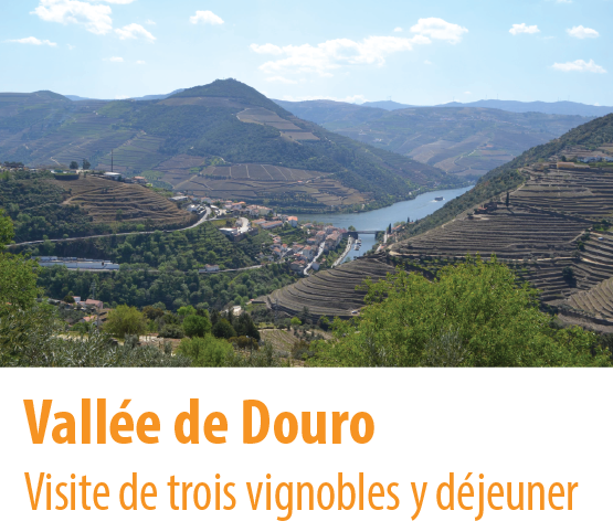 visite de la vallée du douro à vinicolas et croisière sur le fleuve douro